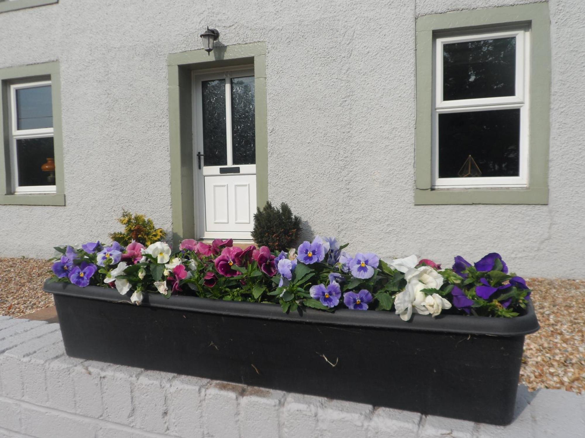 Midtown Farm Bed & Breakfast Easton  Εξωτερικό φωτογραφία